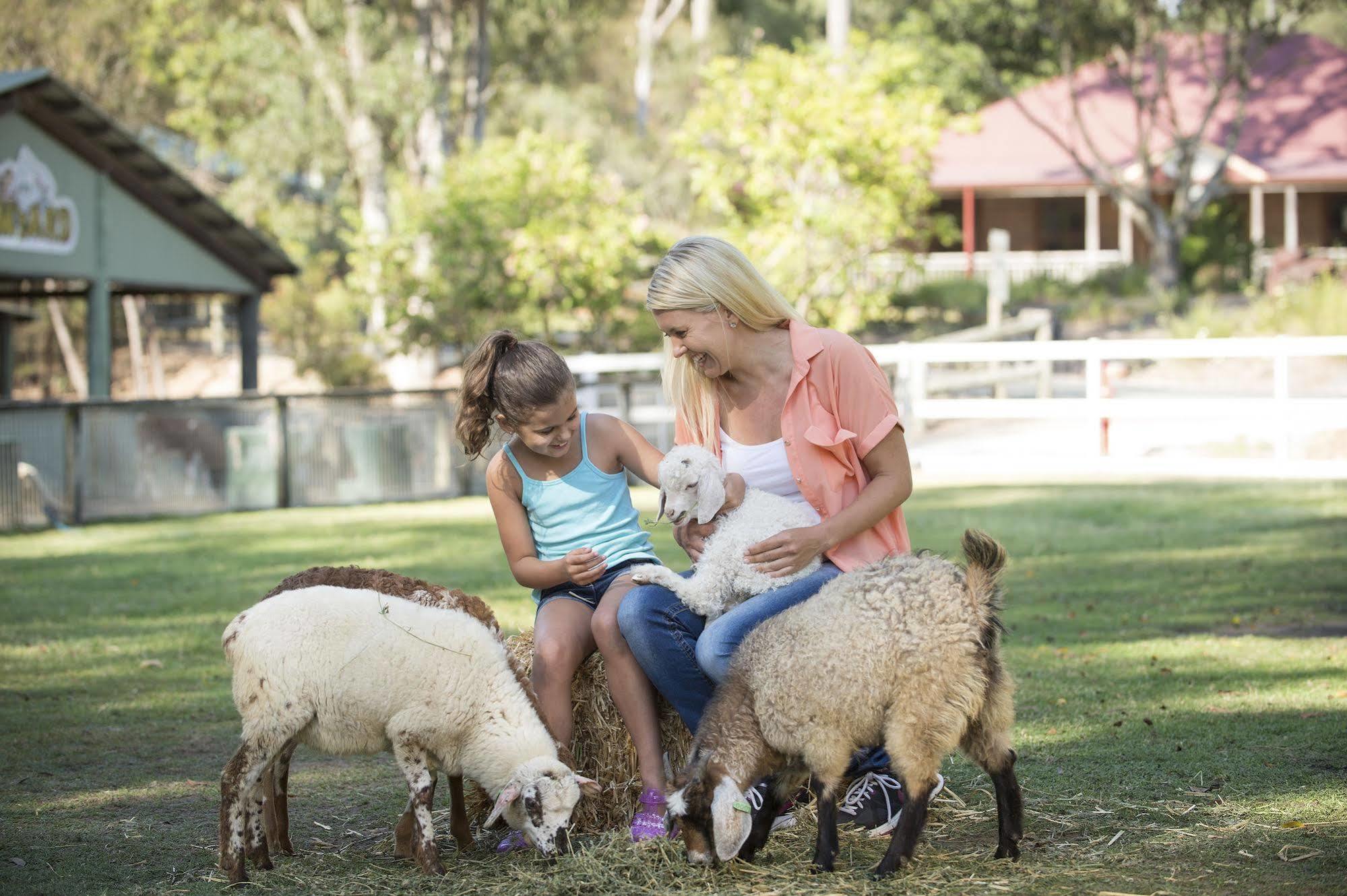 Paradise Country Farmstay Gold Coast Extérieur photo