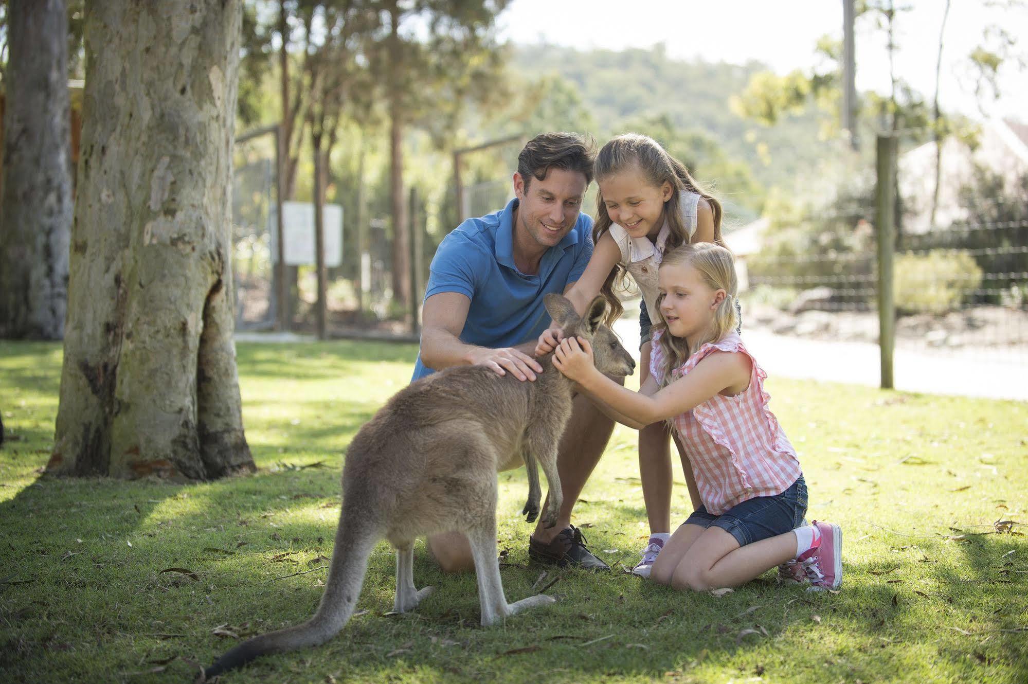 Paradise Country Farmstay Gold Coast Extérieur photo