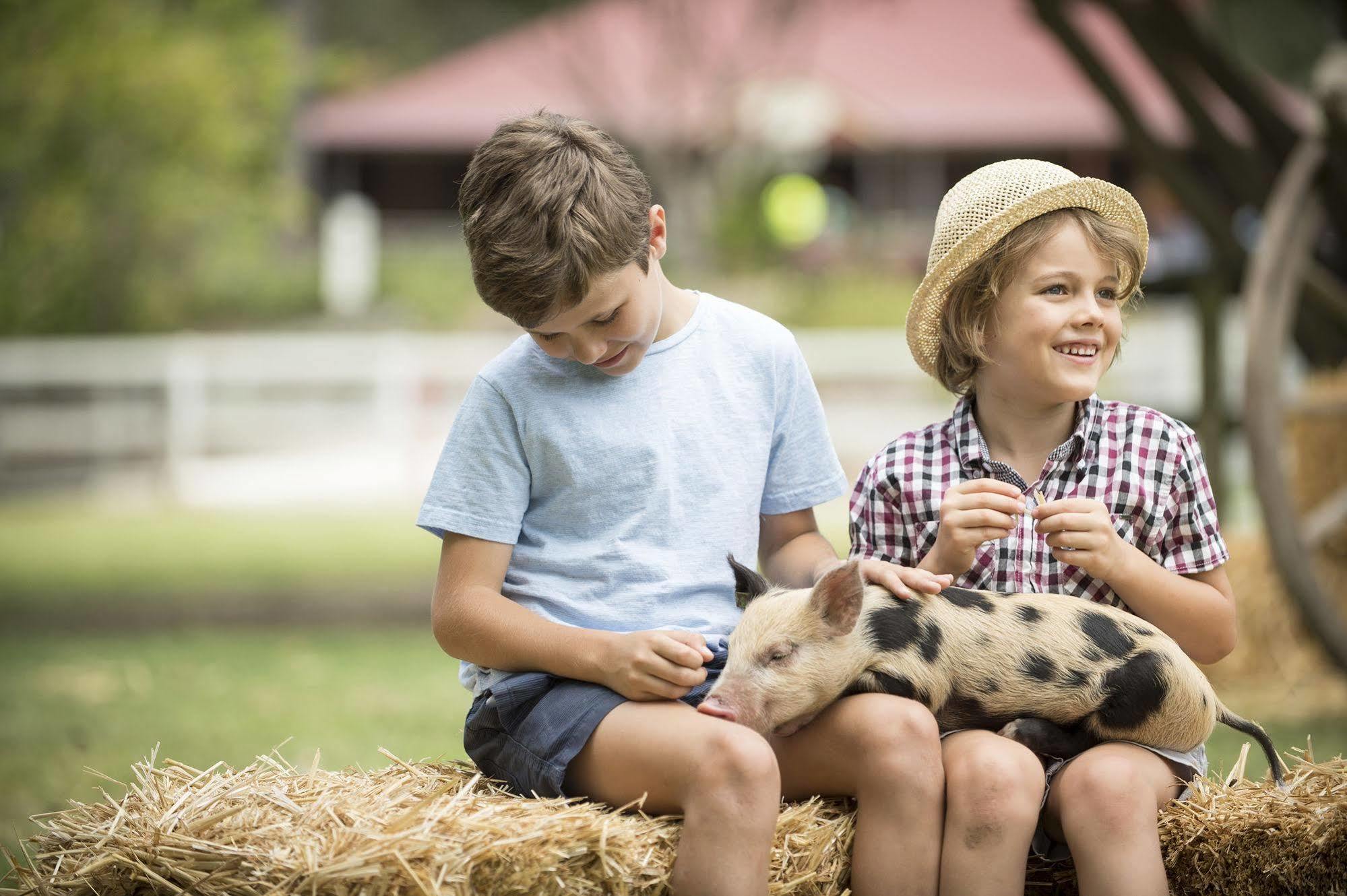 Paradise Country Farmstay Gold Coast Extérieur photo