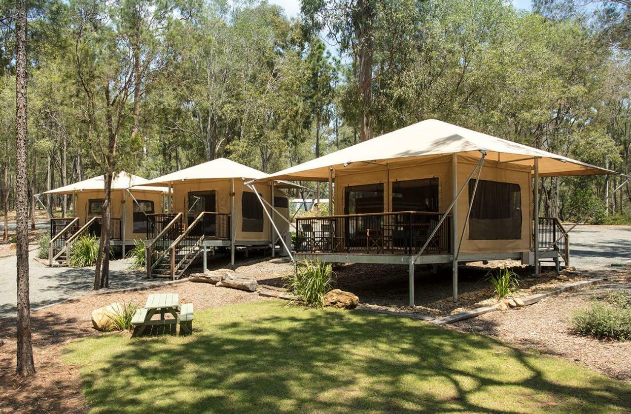 Paradise Country Farmstay Gold Coast Extérieur photo