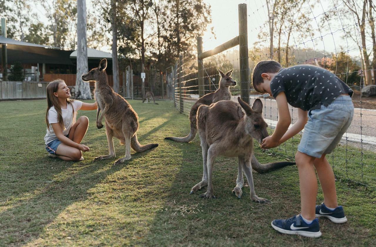 Paradise Country Farmstay Gold Coast Extérieur photo